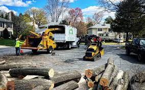 Best Landscape Design and Installation  in Sherwood, WI