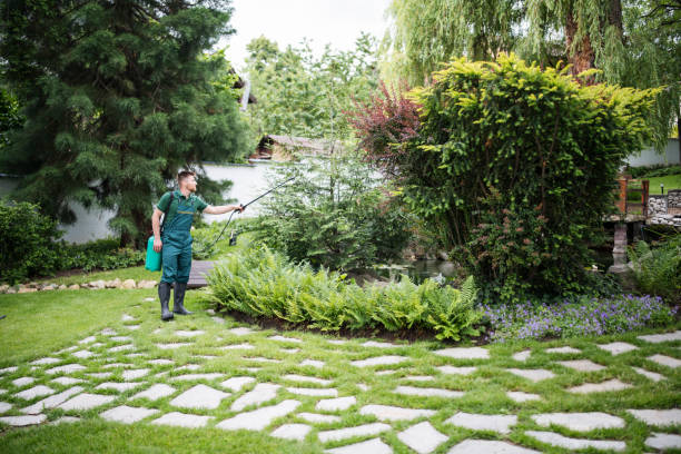 Best Lawn Drainage Solutions  in Sherwood, WI