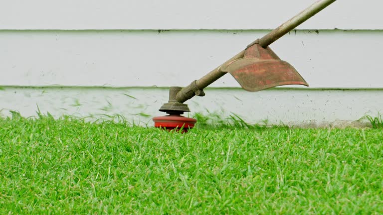 Best Utility Line Clearance  in Sherwood, WI