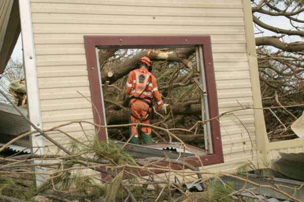 Best Root Management and Removal  in Sherwood, WI